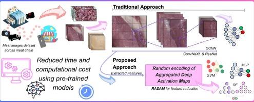 Leveraging pre-trained computer vision models for accurate classification of meat freshness