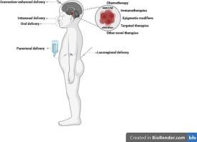 Drug delivery strategies for paediatric diffuse midline gliomas