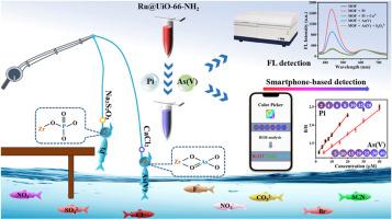 Dual-emissive Ru@UiO-66-NH2 composite for selective visual detection of phosphate and arsenate