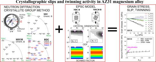 Crystallographic slips and twinning activity in AZ31 magnesium alloy during different modes of deformation on the basis of diffraction experiment and modelling
