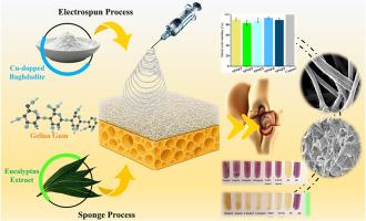 Harmonizing dual electrospun/sponge structures within a triad gellan gum/eucalyptus/Cu-doped baghdadite composition for bone tissue engineering