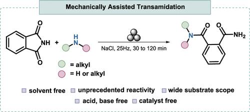 Mechanochemical Unlocking of Phthalimide Transamidation: A Path to N-Substituted Phthalamides