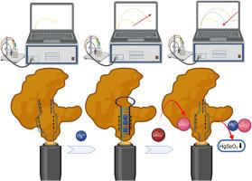 Selective molecular interplay in electrochemical sensing: DNA-templated Hg(II) capture and enzyme-driven SeO42− reduction for mercury removal