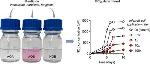 Single Species In Vitro Assays with Nitrifying Bacteria and Archaea for Assessing the Toxicity of Pesticides on Soil Microorganisms