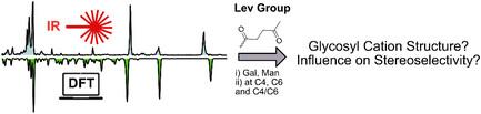 Influence of Levulinoyl Protecting Groups on Glycosylation Stereoselectivity and Glycosyl Cation Structure