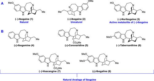 Old Dog, New Tricks: Ibogaine and Its Analogs as Potential Neurotherapeutics