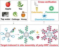 Optical sensing of imidacloprid via target-induced in situ assembly of poly-horseradish peroxidase clusters