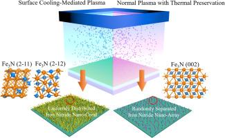 Cooling-mediated N2 plasma engineering of facet-selective iron nitride frameworks for enhanced electrocatalysis