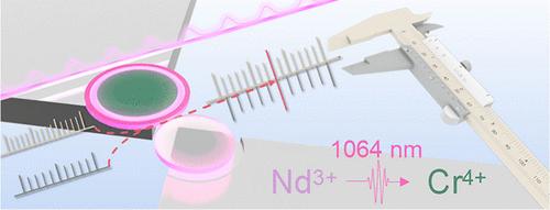 WGM Photonic Molecules as a Platform for Stable Pulsed Laser Emission Generation