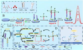On-off-on electrochemiluminescence biosensor with dual-cycle amplification for ultrasensitive prenatal detection of thalassemia mutations using lanthanide europium nanorods