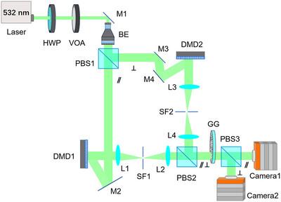 Orbital‐Angular‐Momentum‐Mediated Information Extraction From Dynamic Scattering