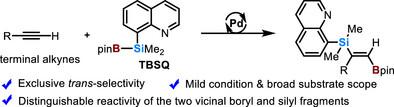 trans-Silaboration of Terminal Alkynes Enabled by Development of a New Si─B Reagent