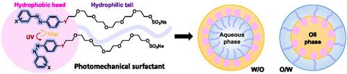 Synthesis and Photophysical Analysis of Amphiphilic Azobenzene Surfactants for Photomechanical Actuation