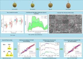 Microscopic changes and quantitative prediction of wax content in the peel of Korla fragrant pear at different picking maturities