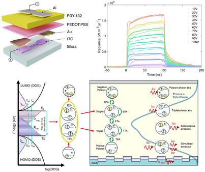 Unravelling the Spatiotemporal Exciton Dynamics in Electrically Pumped Organic Laser Diodes
