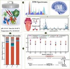 Bioanalysis of Flavor Features in Fermented Vegetables Based on SERS Spectrum and AI algorithm