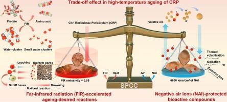 Far-infrared radiation and negative air ions to resolve trade-off effect of accelerating reactions and stabilizing bioactivity in high-temperature ageing of Citri Reticulatae Pericarpium
