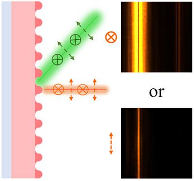 Dynamically Switchable Polarization Lasing Between q‐BIC and Bragg Resonance Modes
