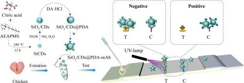 Dual-readout lateral flow immunoassay for detection of amphenicols using intensified colorimetric–fluorescent carbon dots nanocomposite