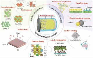 Critical issues in lithium halide solid-state electrolytes: From intrinsic properties, existing challenges to multidimensional regulation strategies