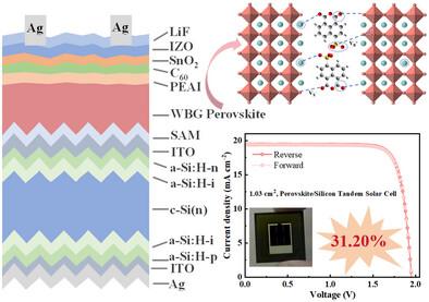 Suppressing Halide Segregation Via Dual-Anchoring Strategy for 31.20% Perovskite/Silicon Tandem Solar Cells