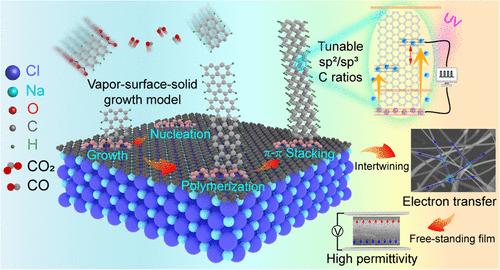 Vertical Growth of Amorphous Carbon Ribbons by a Salt-Lattice Trifunctionalized Vapor-Surface-Solid Mechanism