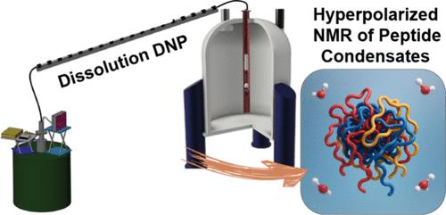 Residue-Resolved Liquid-State Hyperpolarized NMR of Peptide Condensate Surfaces