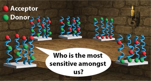 FRET-Integrated Polymer Brushes: What is the Most Sensitive Architecture for Probing Chain Conformation?