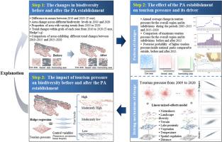 The impact of protected area establishment on biodiversity via tourism pressure: a case study in Three-river-source National Park, China
