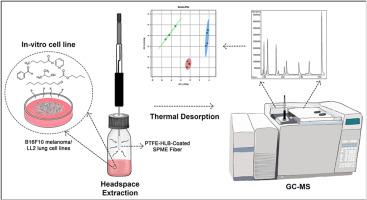 Assessment of thermal and solvent stable SPME fibers for volatilome investigation through in vitro experiments with cancer cell lines