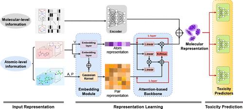 Multiscale-Information-Embedded Universal Toxicity Prediction Framework