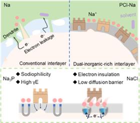 Dual-inorganic-rich artificial interphase for sodium metal batteries
