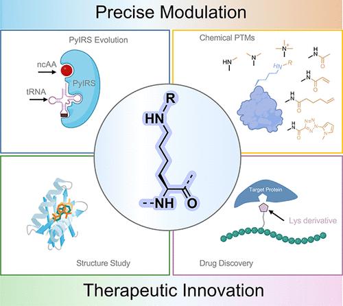 Advancing Genetically Encoded Lysine (GEK) Chemistry: From Precision Modulation to Therapeutic Innovation