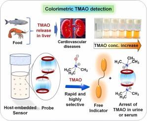 Highly Sensitive Host-embedded Supramolecular Colorimetric Trimethylamine N-Oxide Sensor in Urine and Serum Environment