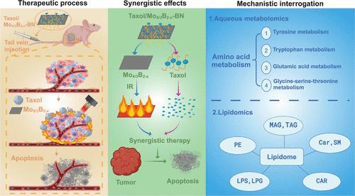 Nanometabolomics Elucidated Paclitaxel/Mo4/3B2–x Bifunctional Nanomedicine-Based Lung Cancer Therapy through Regulated Amino Acid Metabolism