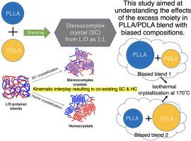 Kinematic Interplay of Homopolymer Crystallization with Stereocomplex Formation in Poly(L-lactic acid) / Poly(D-lactic acid) Blends Having Asymmetric Compositions 1. Effects of Molecular Weights of Polymers