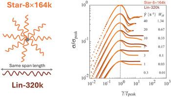 Comparison of shear and extensional rheology between entangled star and linear polystyrenes with the same span molecular weight
