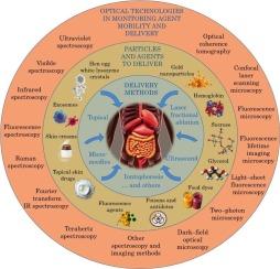 Optical technologies in monitoring mobility and delivery of drugs and metabolic agents1