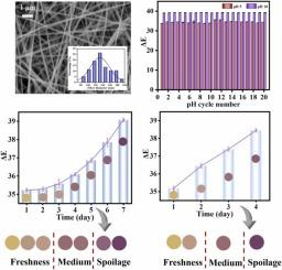 A reversible color switching nano-sensing label based on polyvinyl alcohol-acidochromic chitosan (PVA-ACS) for enhanced recognition of meat freshness