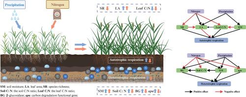 Nitrogen enrichment offsets the stimulation of soil respiration by increased precipitation in temperate grasslands