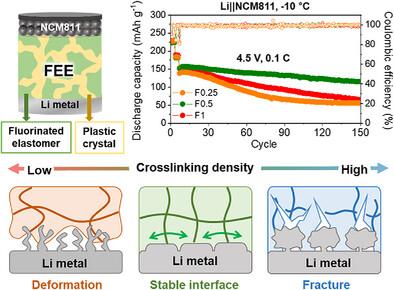 Effects of Mechanical Properties of Elastomeric Electrolytes for Stable Operation of Lithium Metal Batteries