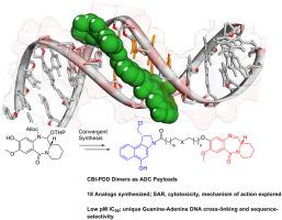 Synthesis, SAR and Biophysical Mechanism of Action of Cyclopropabenzindole-Pyridinobenzodiazepine (CBI-PDD) Guanine-Adenine DNA Cross-Linking Agents