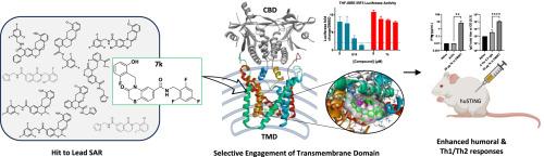 In silico discovery and mechanistic profiling of STING agonists engaging the transmembrane domain