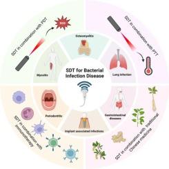 Advances in sonodynamic therapy of multifunctional nanomaterials for bacterial infectious diseases