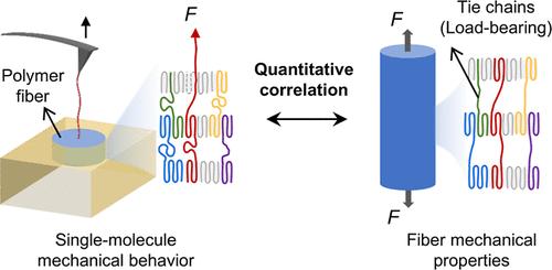 Quantitative Correlation of Single-Molecule Mechanical Behavior with the Yield Stress of Polymer Fibers