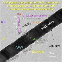 Ultrasensitive and selective CuO/GaN co-decorated SnO2 nanowire gas sensor with ppb-level detection of H2S gas