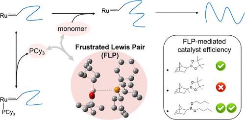 Frustrated Lewis Pair-Mediated Catalyst Efficiency in ROMP: Mechanistic Insights from Boronic Ester-Functionalized Monomers