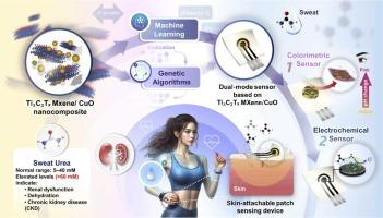Dual-Mode Sweat Urea Sensor based on Ti3C2Tx MXene/CuO nanocomposite: Colorimetric-Electrochemical Detection Optimized by Machine Learning and Genetic Algorithms