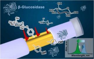 Local and Express Probing of Enzymatic Activity Using Functional Plasmon Active Optical Fiber