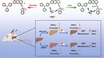 A Dual-Responsive NIR Fluorescent Probe for Diagnosis and Therapeutic Evaluation of Alcoholic Liver Disease and Drug-Induced Liver Disease